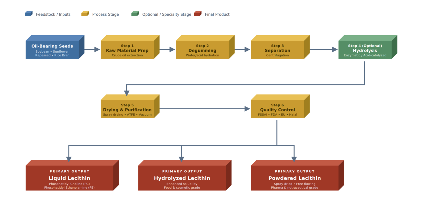 Muez Hest Lecithin Manufacturing Process flow diagram showing oil-bearing seeds (soybean, sunflower, rapeseed, rice bran) processed through six stages Raw Material Preparation, Degumming, Separation by centrifugation, optional Hydrolysis (enzymatic or acid-catalyzed), Drying & Purification using ATFE and spray drying, and Quality Control producing three lecithin product grades: Liquid Lecithin rich in Phosphatidyl Choline and Phosphatidyl Ethanolamine, Hydrolyzed Lecithin for food and cosmetic applications and Powdered Lecithin for pharma and nutraceutical use.