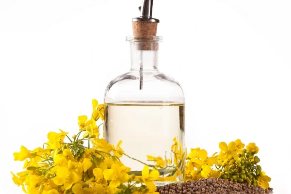 rapeseedoil
