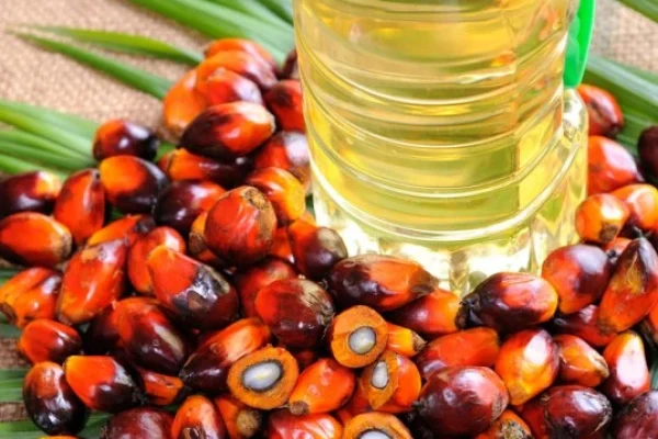 palm oil