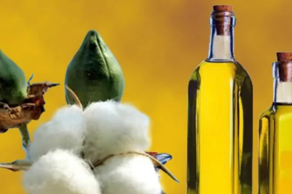 cottonseed oil
